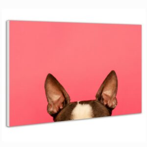 IC panel MySun Art – A05