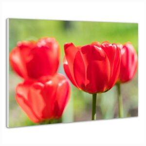 IC panel MySun Art – C08